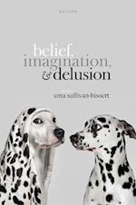 Belief, Imagination, and Delusion