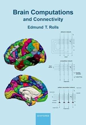 Brain Computations and Connectivity