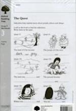 Oxford Reading Tree: Level 9: Workbooks: Workbook 3: The Quest and Survival Adventure (Pack of 30)