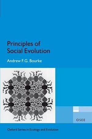 Principles of Social Evolution