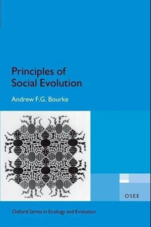 Principles of Social Evolution