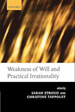 Weakness of Will and Practical Irrationality