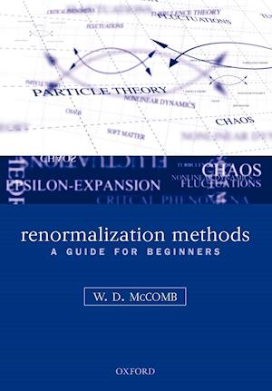 Renormalization Methods