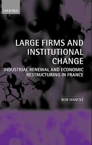 Large Firms and Institutional Change