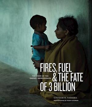 Fires, Fuel, and the Fate of 3 Billion