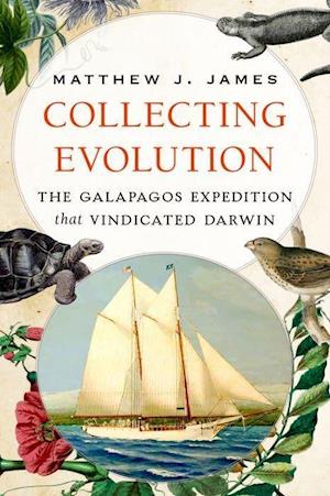 COLLECTING EVOLUTION