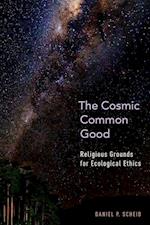 The Cosmic Common Good