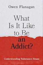 What Is It Like to Be an Addict?