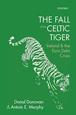 The Fall of the Celtic Tiger