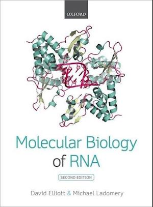 Molecular Biology of RNA