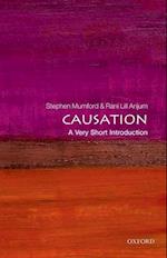 Causation: A Very Short Introduction