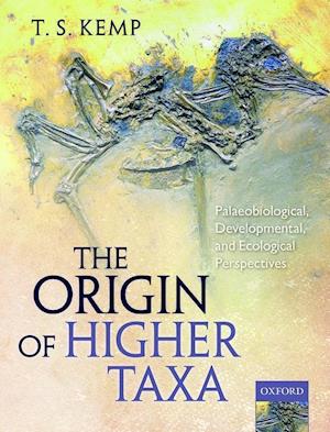 The Origin of Higher Taxa