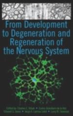 From Development to Degeneration and Regeneration of the Nervous System