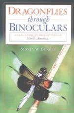 Dragonflies through Binoculars