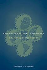 How International Law Works