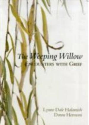 Weeping Willow