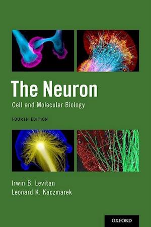 The Neuron