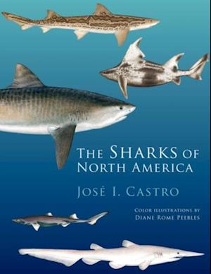 Sharks of North America