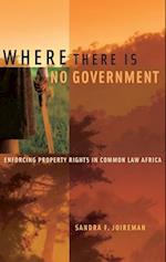 Where There is No Government