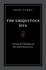 The Ubiquitous Siva