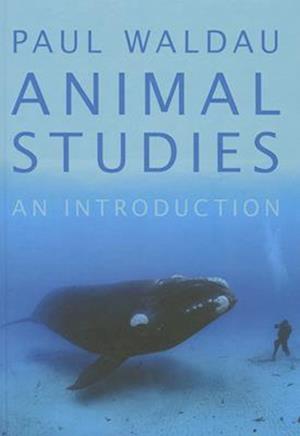 Animal Studies