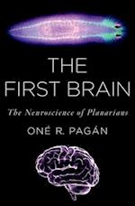 The First Brain