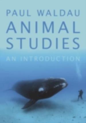 Animal Studies