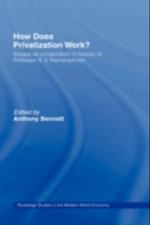 How Does Privatization Work?