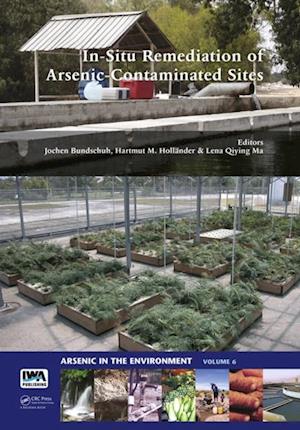 In-Situ Remediation of Arsenic-Contaminated Sites