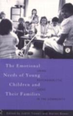 Emotional Needs of Young Children and Their Families