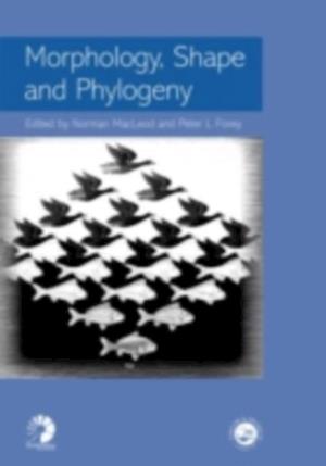 Morphology, Shape and Phylogeny