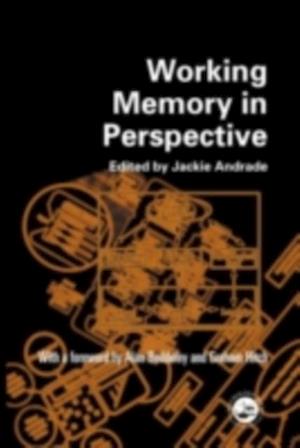 Working Memory in Perspective