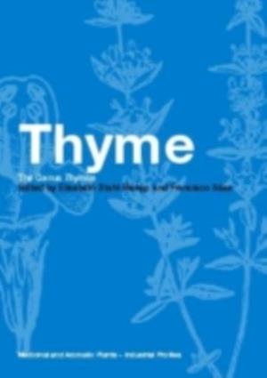 Thyme