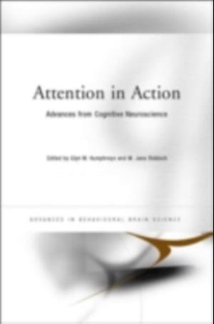 Attention in Action