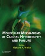 Molecular Mechanisms of Cardiac Hypertrophy and Failure