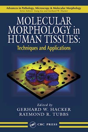 Molecular Morphology in Human Tissues