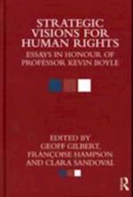 Strategic Visions for Human Rights