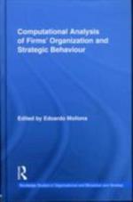 Computational Analysis of Firms' Organization and Strategic Behaviour