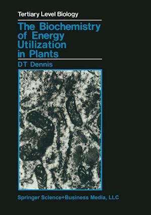 The Biochemistry of Energy Utilization in Plants