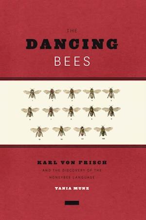 Dancing Bees