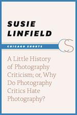 Little History of Photography Criticism; or, Why Do Photography Critics Hate Photography?