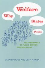 Why Welfare States Persist