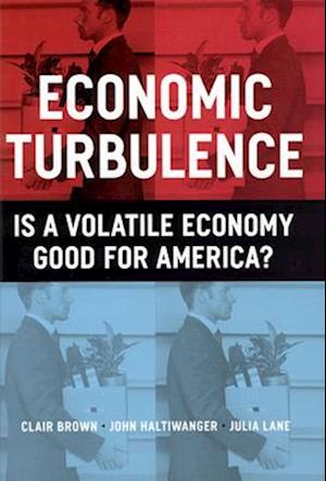 Economic Turbulence