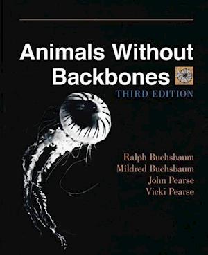 Animals Without Backbones