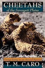 Cheetahs of the Serengeti Plains