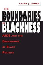 The Boundaries of Blackness – AIDS and the Breakdown of Black Politics