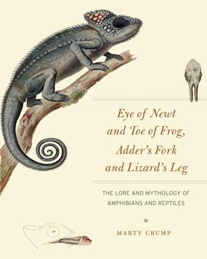 Eye of Newt and Toe of Frog, Adder's Fork and Lizard's Leg