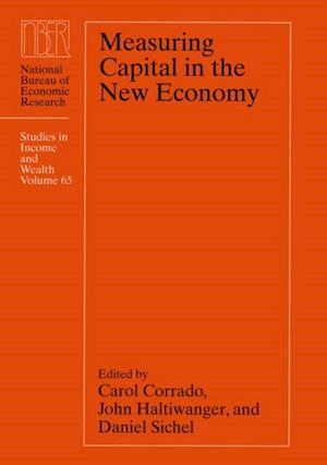 Measuring Capital in the New Economy