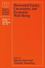 Horizontal Equity, Uncertainty, and Economic Well-being