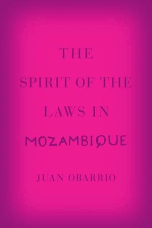 Spirit of the Laws in Mozambique